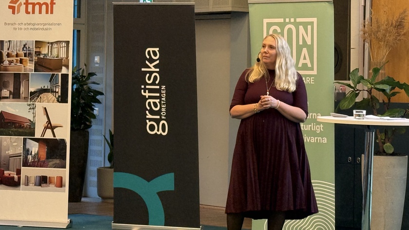 Ingrid Clementson, HR Legal, talade om knepiga personalärenden på HR-nätverket.