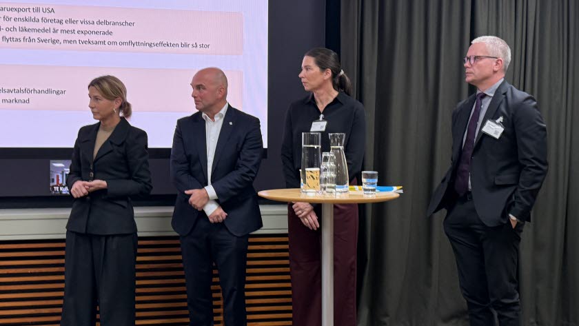 IER Rapport 2025