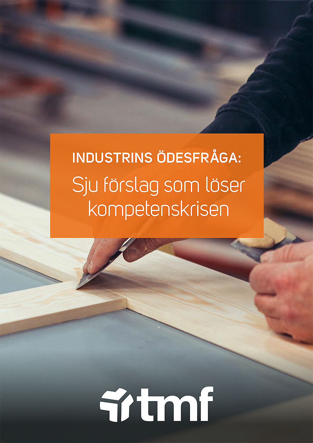 TMF-rapport om kompetensförsörjning - 2025.