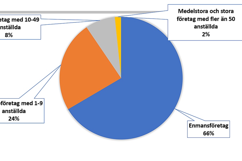Fakta om den svenska möbelindustrin 2023 - diagram företagsstorlek 1600900