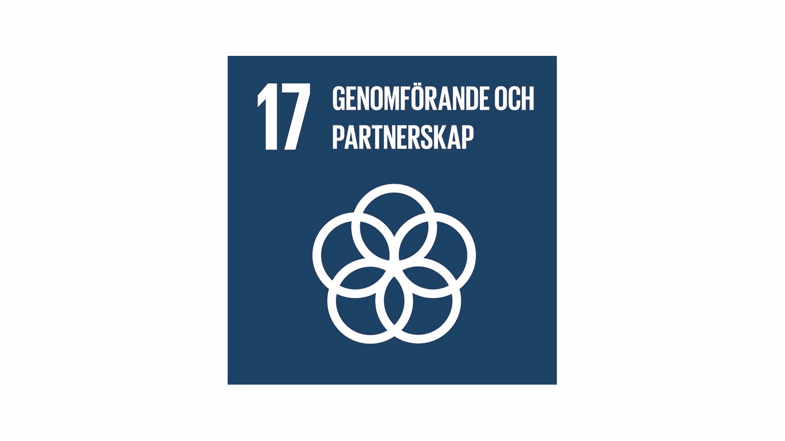 Genomförande och partnerskap