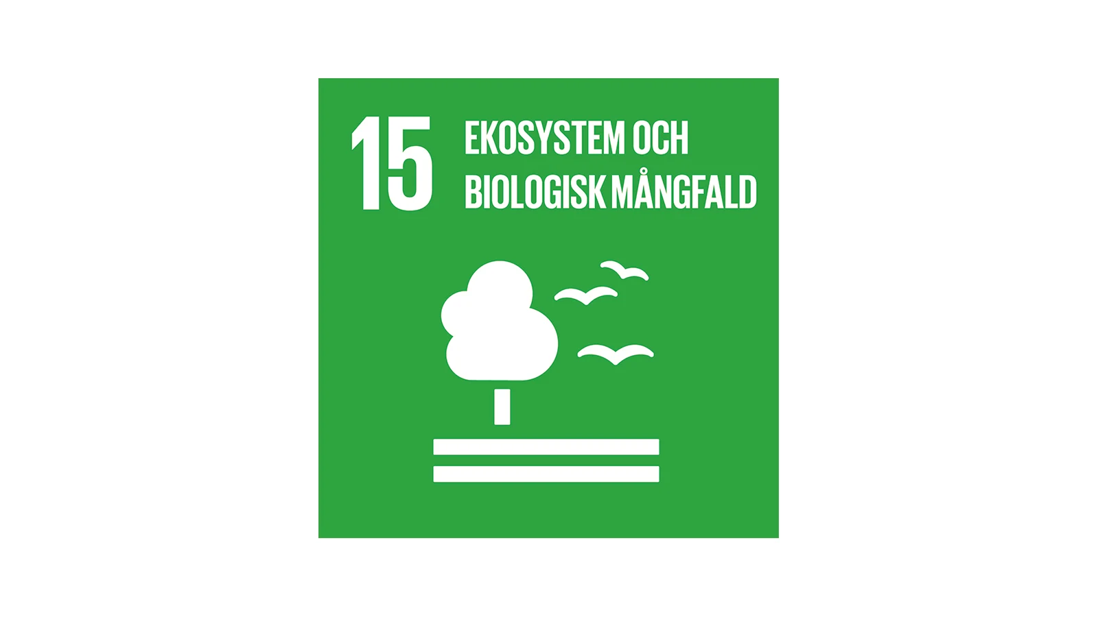 Ekosystem och biologisk mångfalld