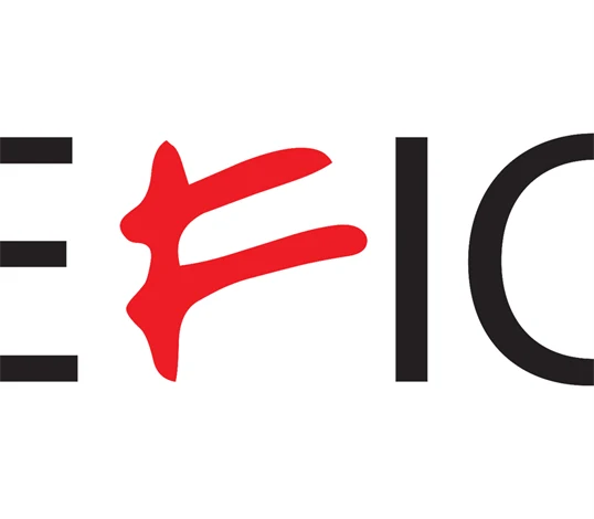 EFIC LOGO - utan text 1600x900
